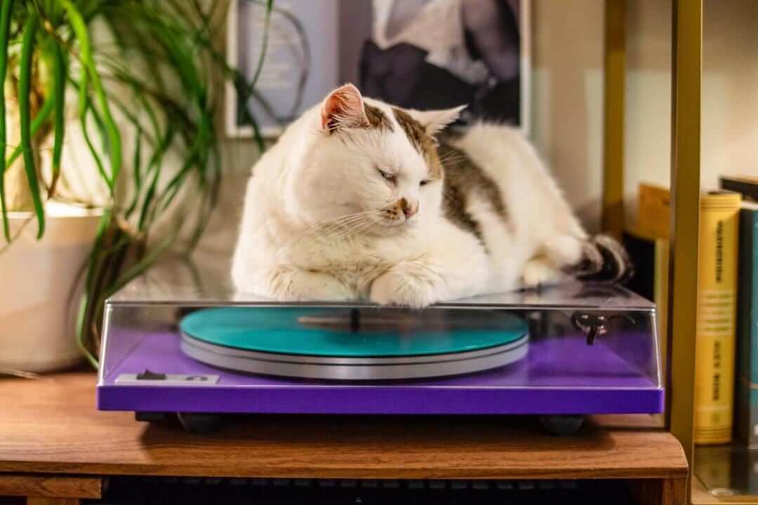 Turntable for home